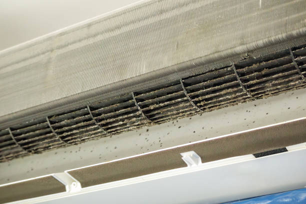 Best Affordable Air Duct Cleaning  in David City, NE